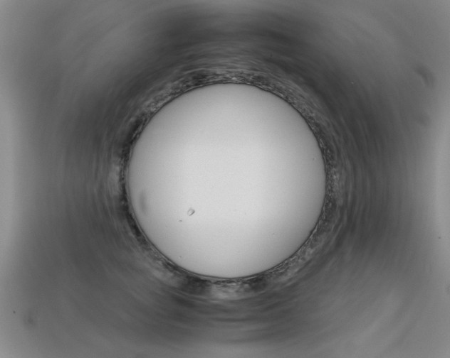 X0000113350757200909151026