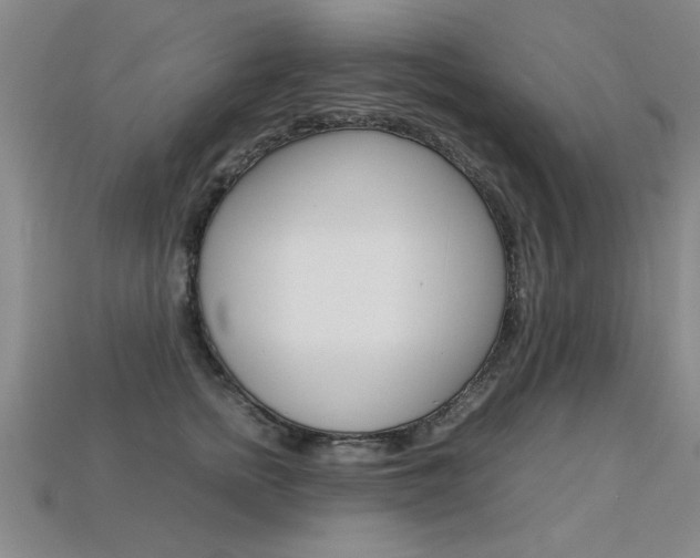 X0000113350758200909151026