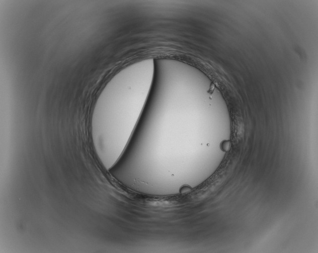 X0000113350759200909151026
