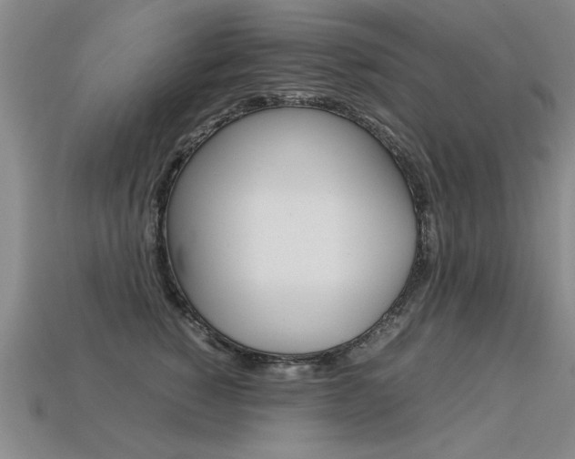 X0000113350760200909151026