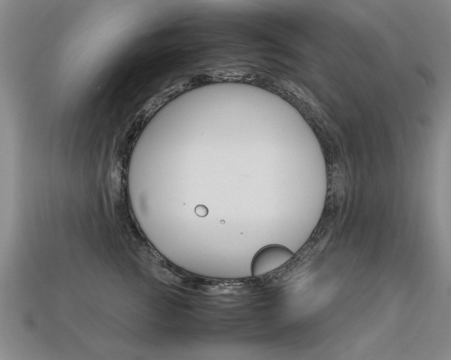 X0000113350761200909151026