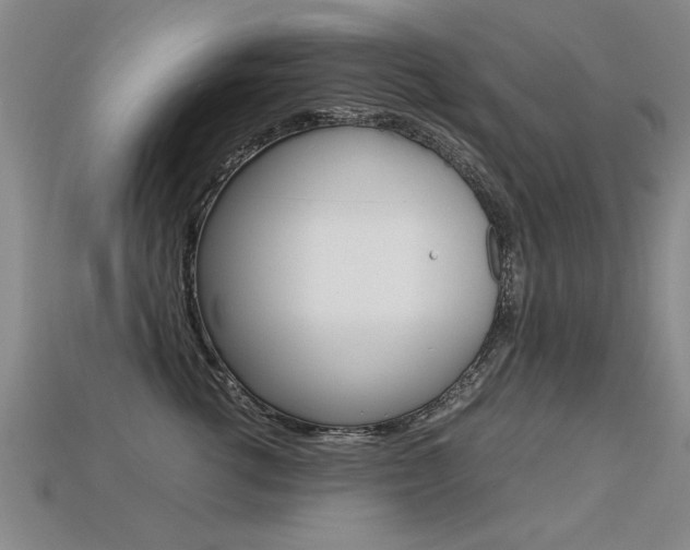 X0000113350762200909151026