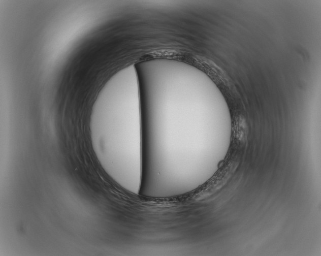 X0000113350763200909151026