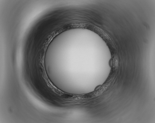 X0000113350764200909151026