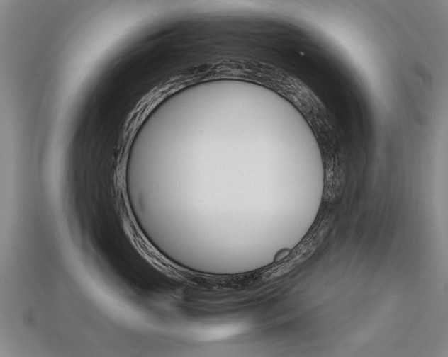 X0000113350765200909151026