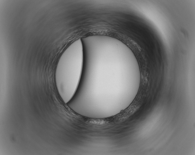 X0000113350767200909151026