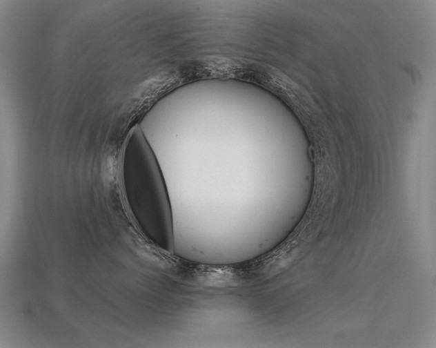 X0000113350768200909151026