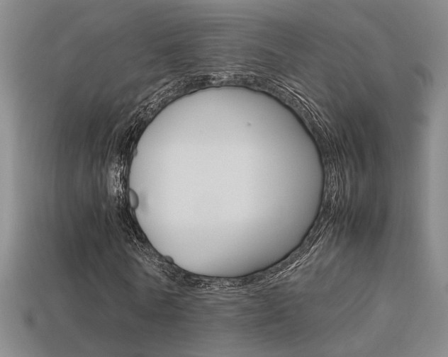 X0000113350770200909151025