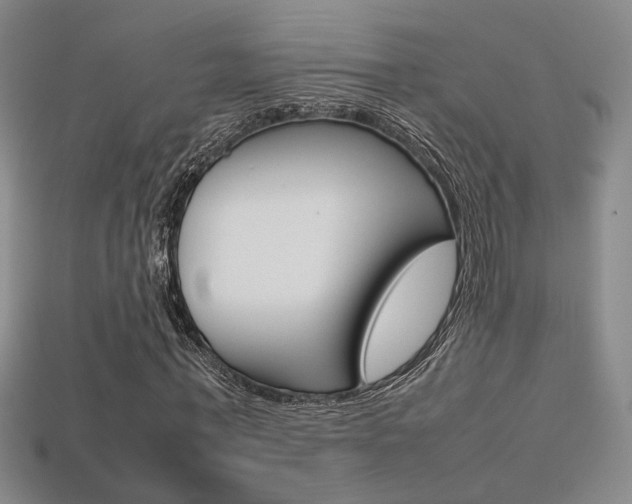X0000113350771200909151025