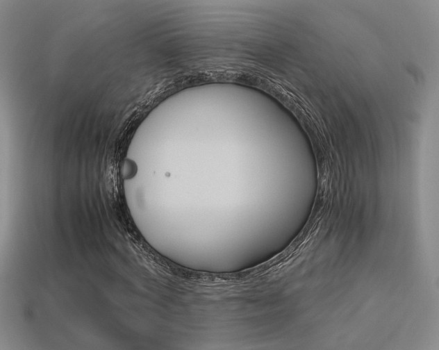 X0000113350772200909151025