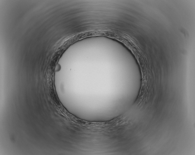 X0000113350773200909151025