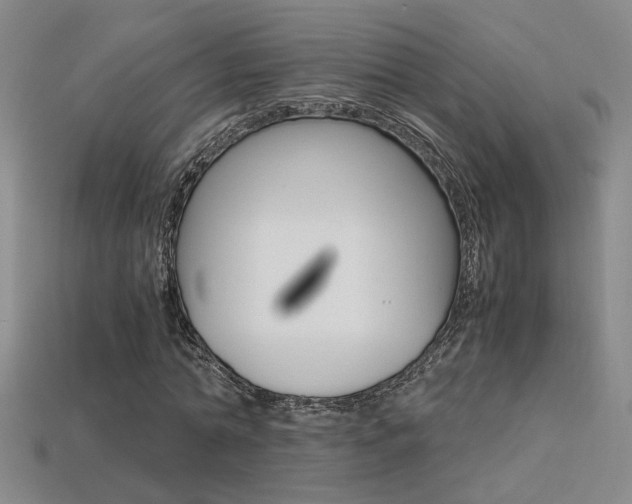 X0000113350774200909151025