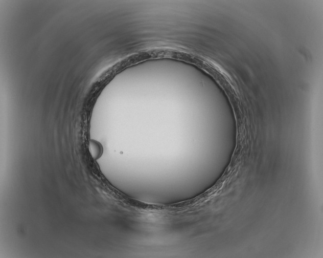 X0000113350775200909151025