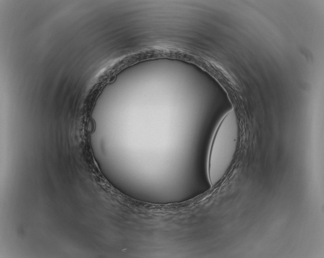 X0000113350776200909151025