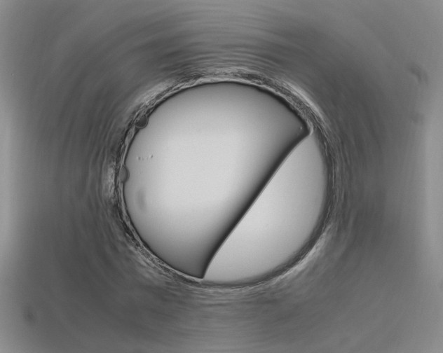 X0000113350777200909151025