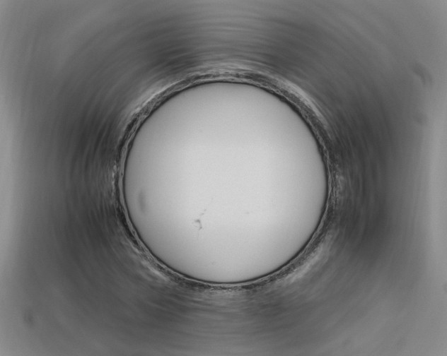 X0000113350778200909151025