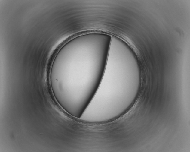 X0000113350780200909151025
