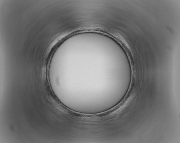 X0000113350781200909151025