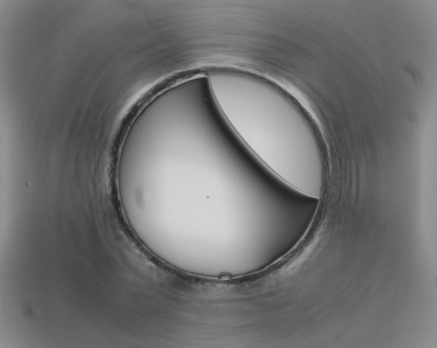 X0000113350783200909151025