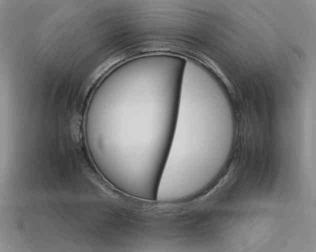 X0000113350786200909151025