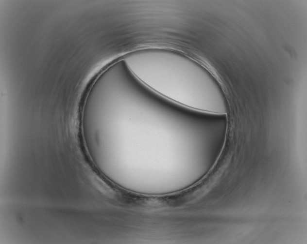 X0000113350787200909151025