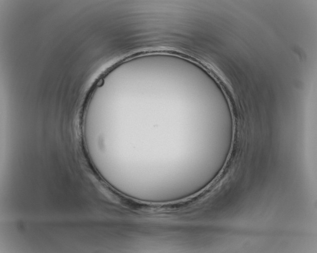 X0000113350789200909151025