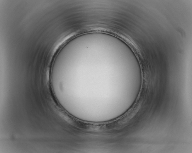 X0000113350790200909151025