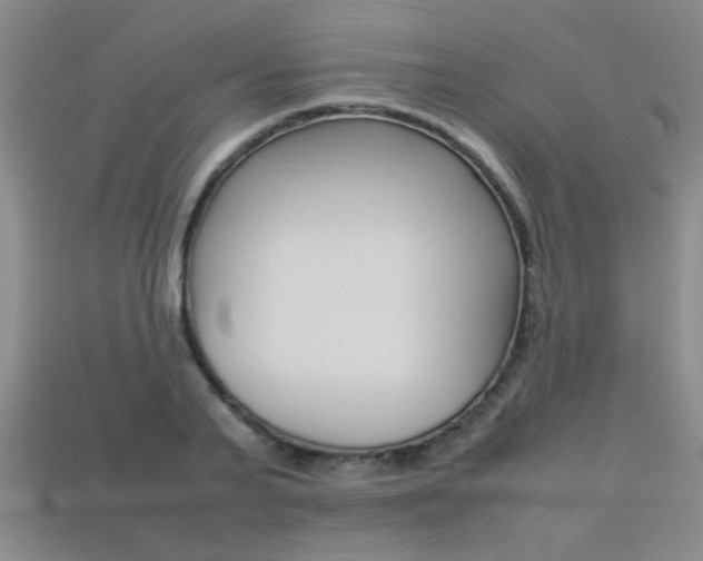 X0000113350791200909151025