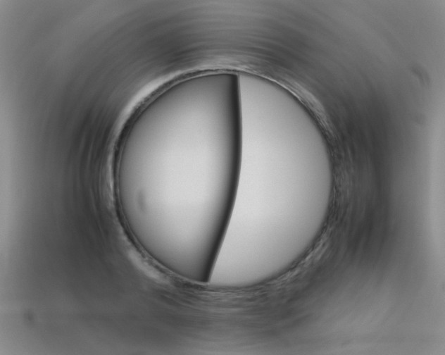 X0000113350792200909151025