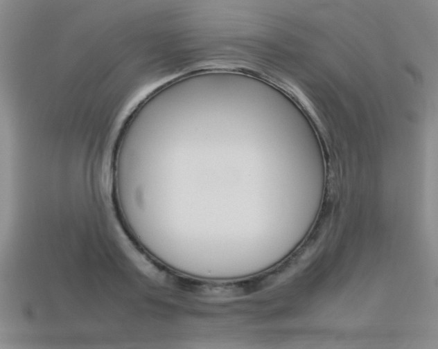 X0000113350795200909151025
