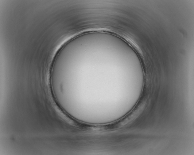 X0000113350797200909151025