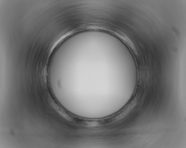 X0000113350798200909151025
