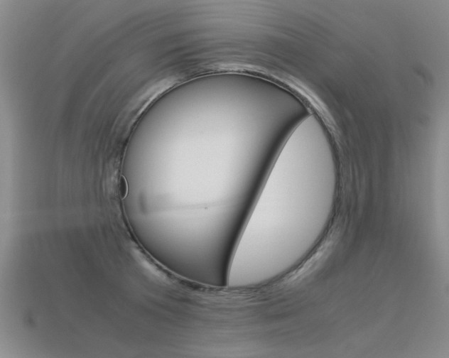 X0000113350801200909151025