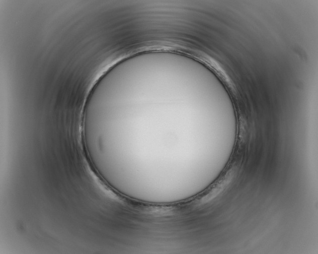 X0000113350802200909151025