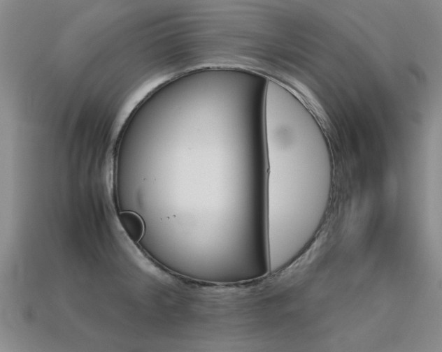 X0000113350804200909151025