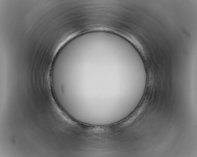 X0000113350806200909151025