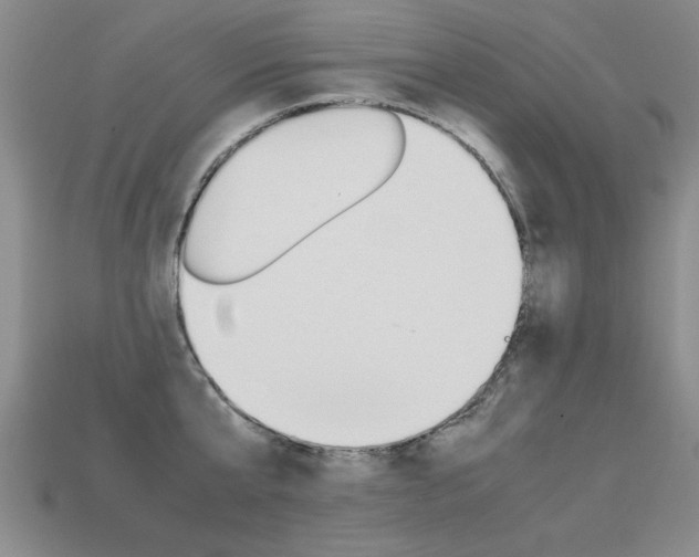 X0000113350807200909151025