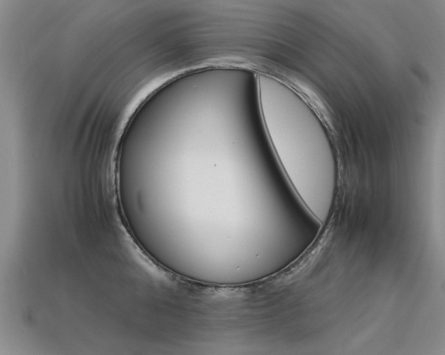 X0000113350808200909151025
