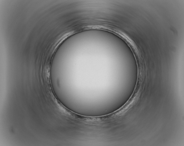 X0000113350809200909151025
