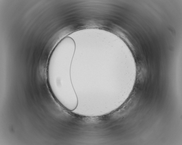 X0000113350810200909151025