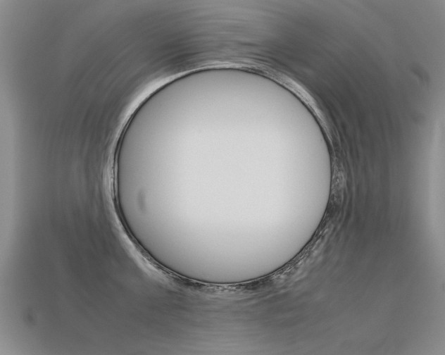 X0000113350811200909151025