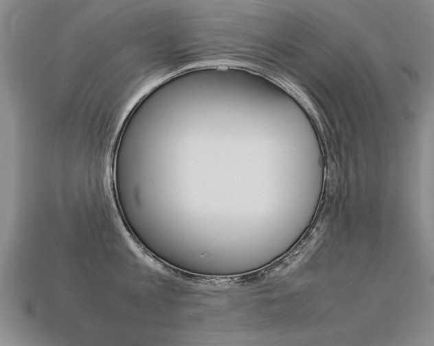 X0000113350813200909151025