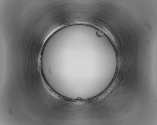 X0000113350814200909151025