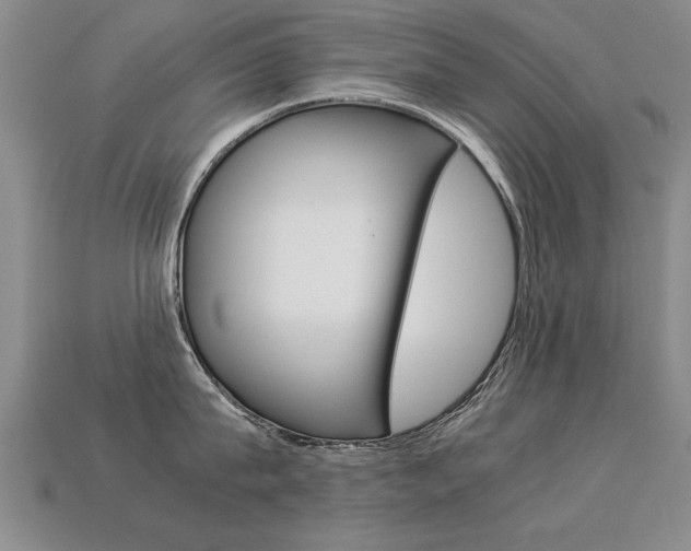X0000113350815200909151025