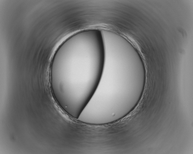 X0000113350816200909151025