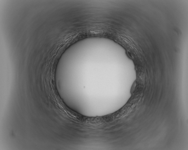 X0000113350817200909151024