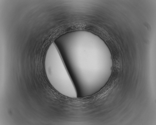 X0000113350818200909151024