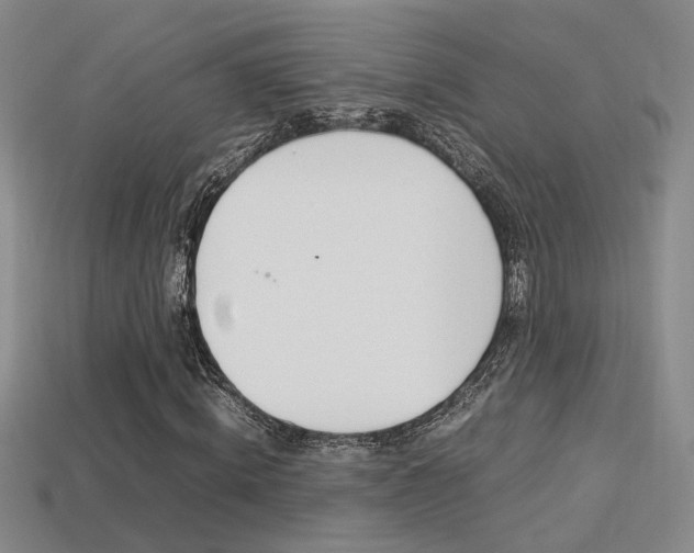 X0000113350820200909151024