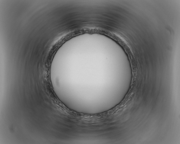 X0000113350823200909151024