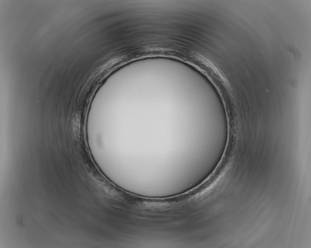X0000113350825200909151024
